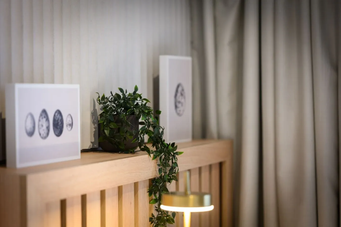 Libera 604 Studio – photo 6